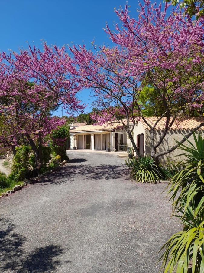 Macoco Maison Coeur Corbieres Fontjoncouse Exterior foto
